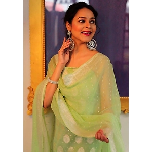 Banarasi Organza Silk Suit