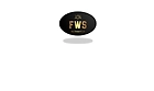 fws multitrade private limited