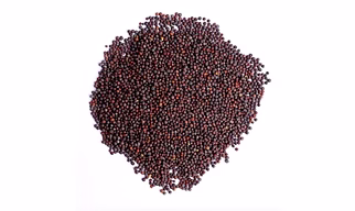 mustard seeds