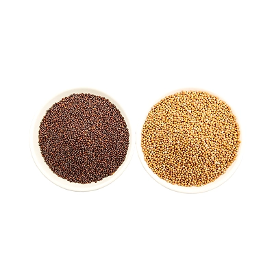 mustard seeds-2