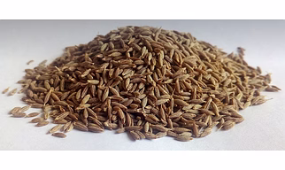 cumin seed