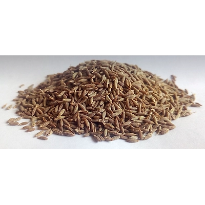 cumin seed-12722253