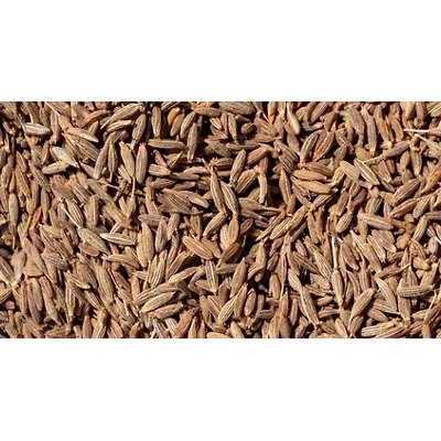 cumin seed-1