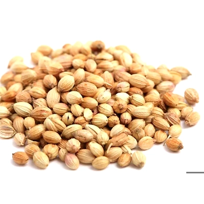 coriander-3