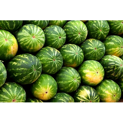 Watermelon-1