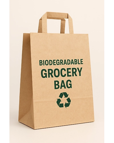 Biodegradable Grocery Bag-1