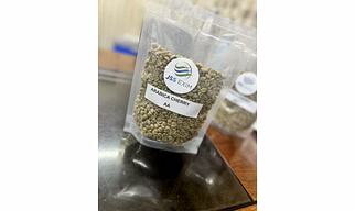 Arabica Cherry AA