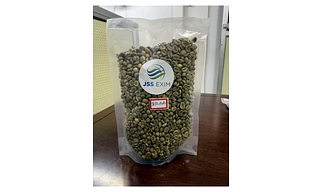 Robusta Parchment AA