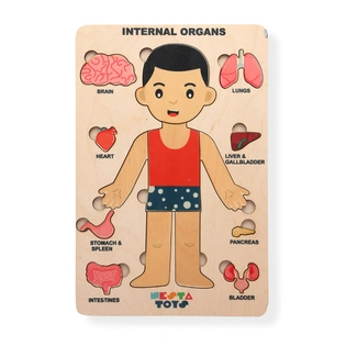 NESTA TOYS - Human Anatomy | Internal Organs Puzzle