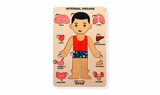 NESTA TOYS - Human Anatomy | Internal Organs Puzzle