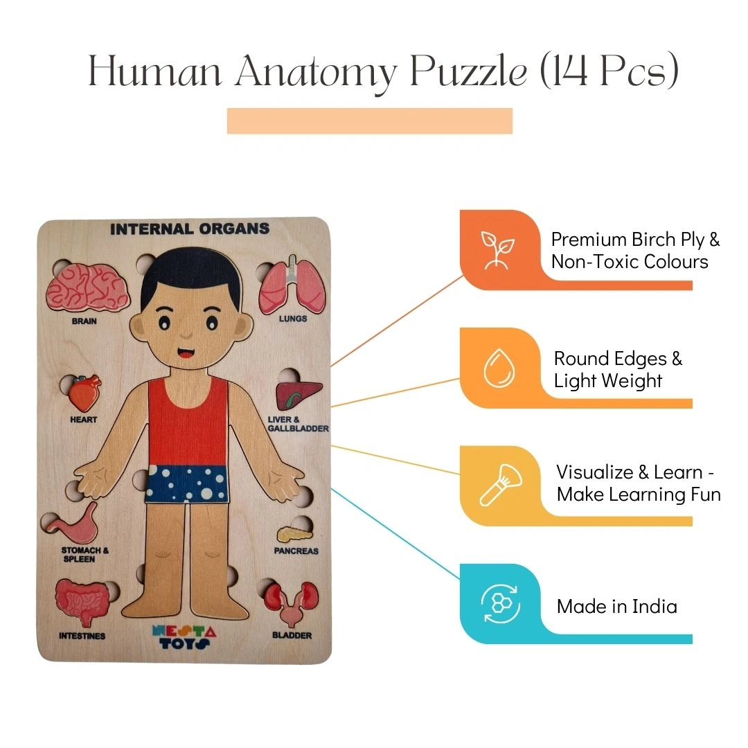 NESTA TOYS - Human Anatomy | Internal Organs Puzzle-1