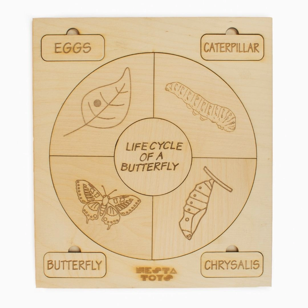 NESTA TOYS - Montessori Life Cycle Puzzle | DIY Coloring Activity (36 Pieces) - Frog, Plant, Chicken &amp; Butterfly-12359932