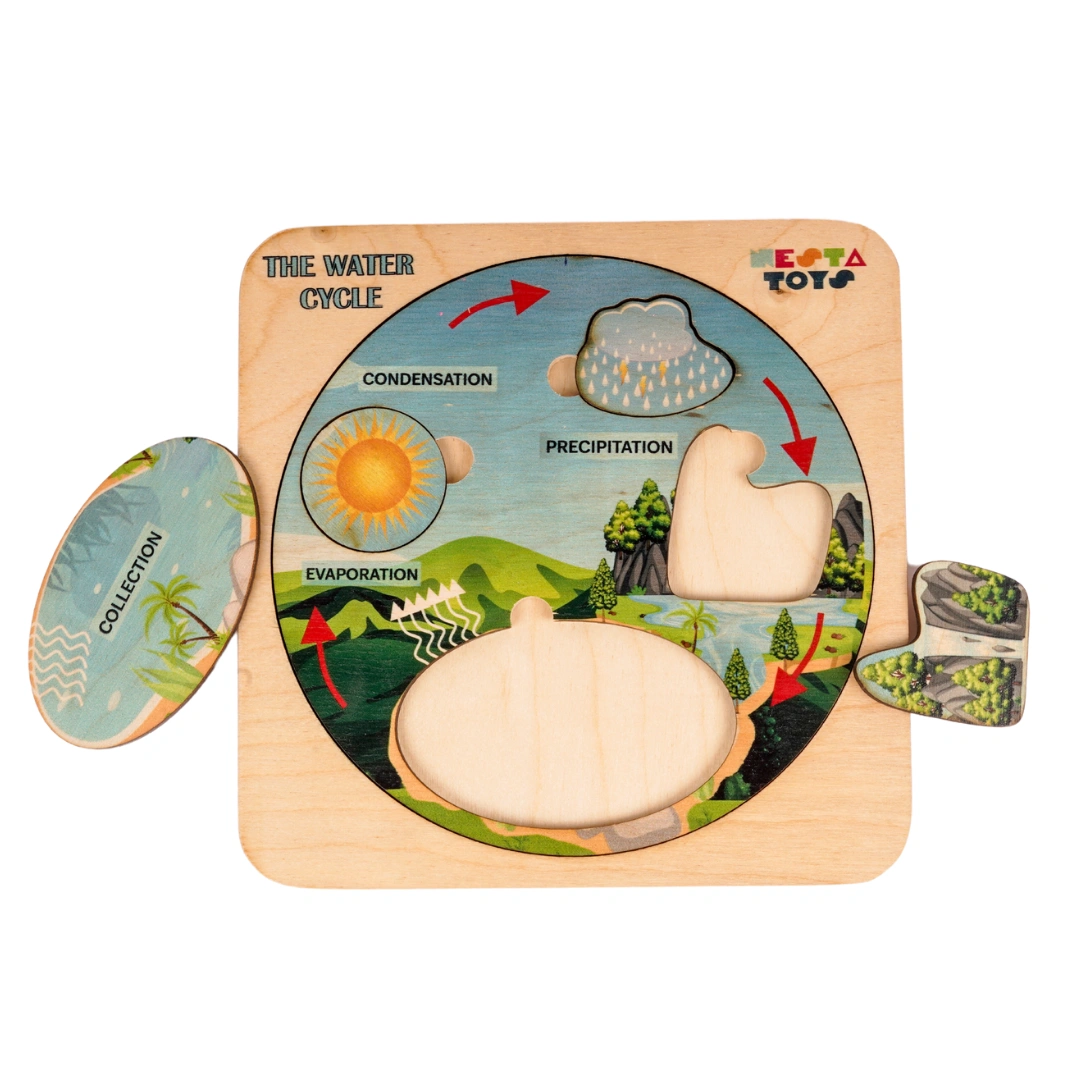 NESTA TOYS - Montessori Wooden Water Cycle Puzzle | Educational STEM Learning Toy-1