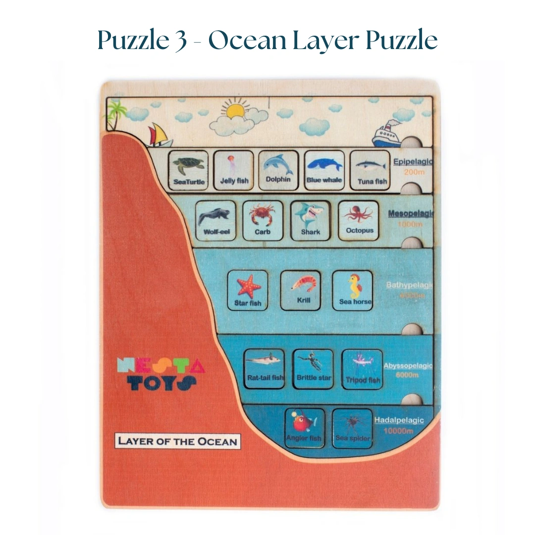 NESTA TOYS - Geography Lover Puzzle Combo - Earth Core, Water Cycle &amp; Ocean Layer Puzzle-3