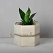 Marble Mini Planter-12424142-sm