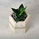 Marble Mini Planter-1-sm