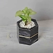 Kayampura Marble Planter-1-sm