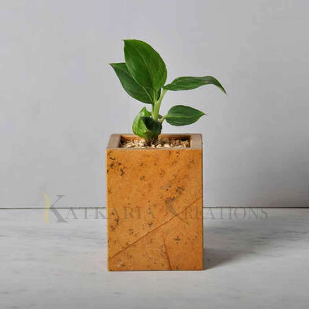 Sandstone Planter-12424160