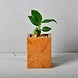 Sandstone Planter-12424160-sm