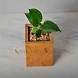 Sandstone Planter-1-sm