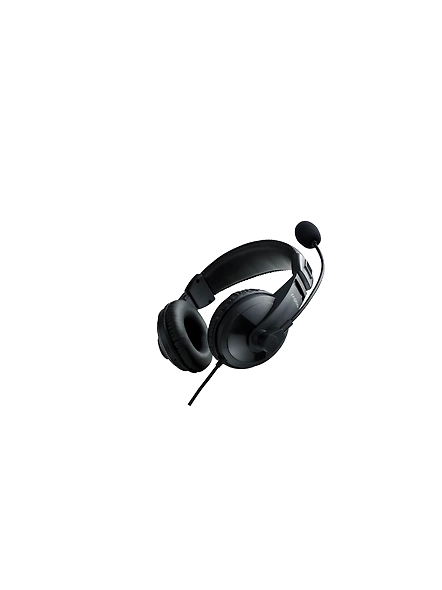 Rapoo H150 Stereo Wired Over Ear Headphones With Microphone Noise-Reduction, Usb, Pc/Mac/Laptop/Chrome OS - Black