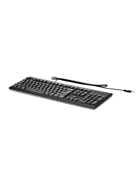 HP USB Keyboard for PC (QY776AA)