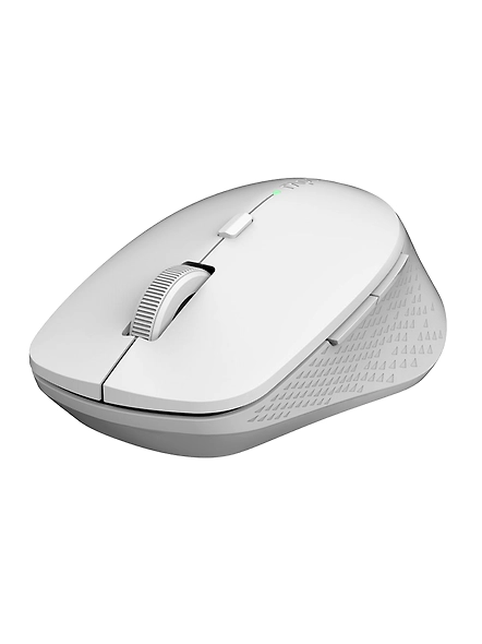 Rapoo M300 Silent Wireless Mouse 1600 DPI Sensor 9 Months Battery Life Quiet Buttons Ergonomic for Right-Handed PC &amp; Mac, 3 Years Warranty - Grey-1091