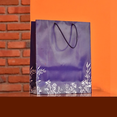 Gift Bag Collection-1
