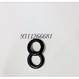 o ring