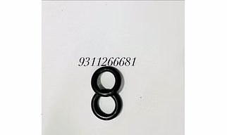 O ring