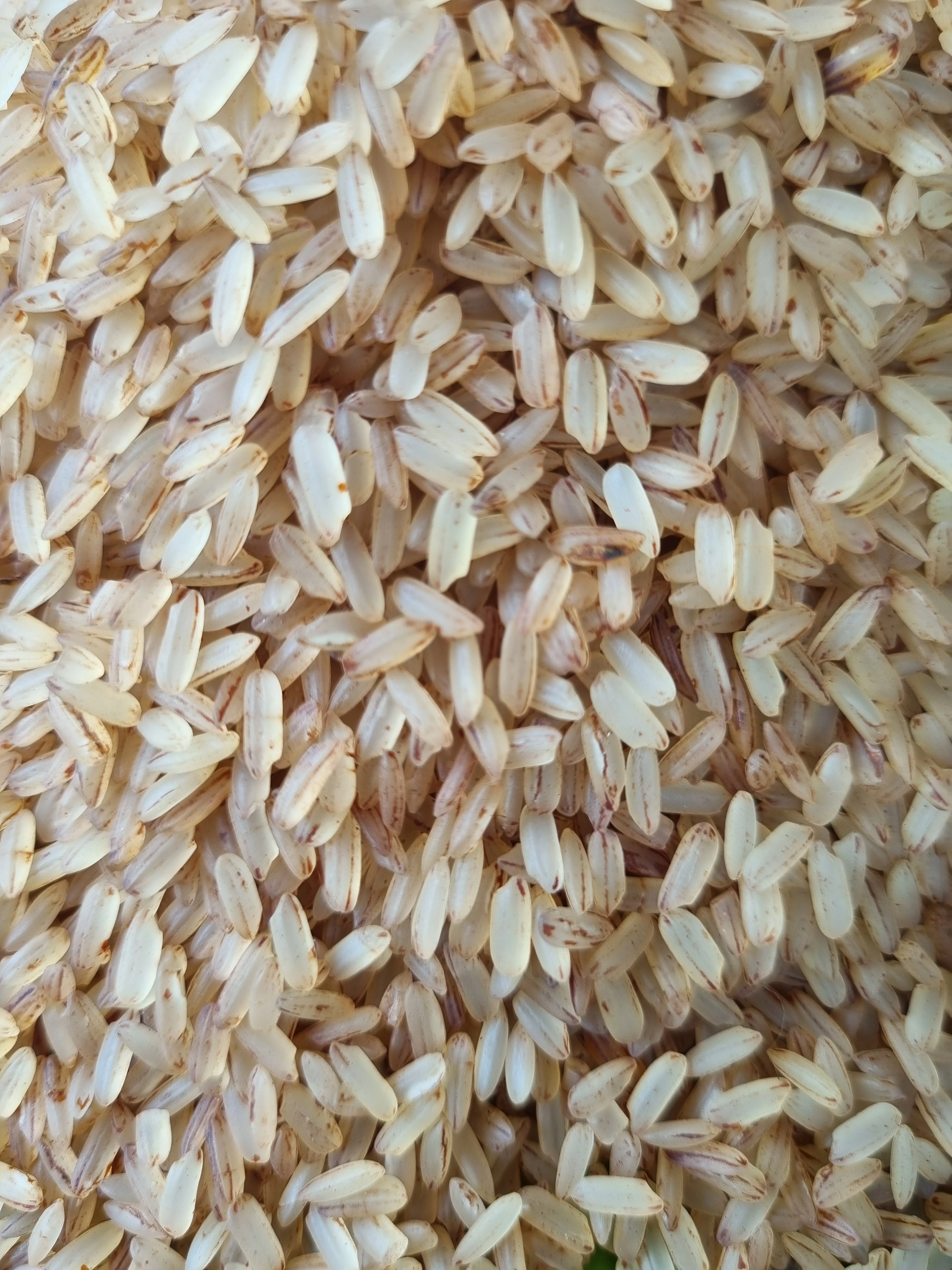 Palakkadan Matta Rice Long Grain-12348098