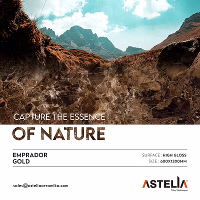 EMPRADOR GOLD-12348142