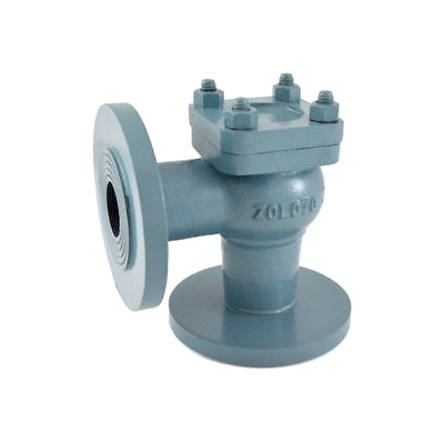 Cast Iron Horizontal Lift Check Valve Angle Pattern (Flanged)-12349874