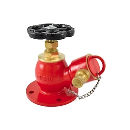 Zoloto Landing valve (fire hydrant valve)