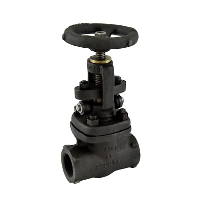 Forged Steel Globe Valve, Class-800 (Standard Bore))-12349386