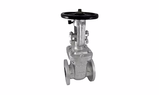 1077 Cast Steel Gate Valve, Class-150 (Flanged)