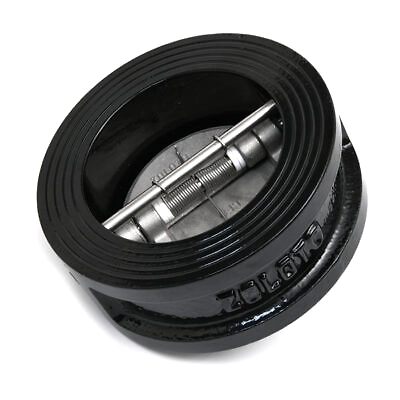 Cast Iron Dual Plate Wafer Type Check Valve, PN 16-12349828