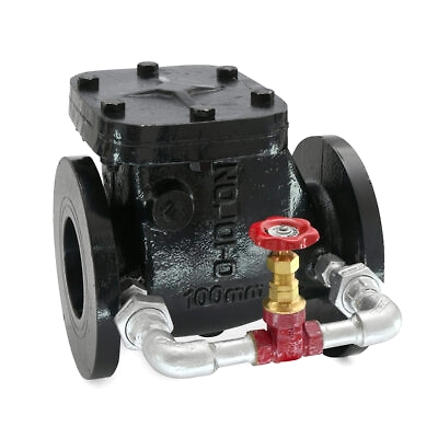 By pass check valve-1