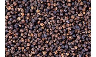 BLACK PEPPER