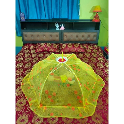 TULIP BD 6-12350854