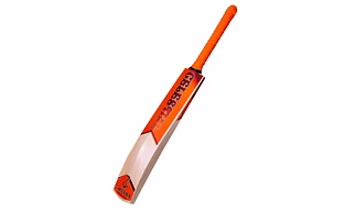 English Willow bats