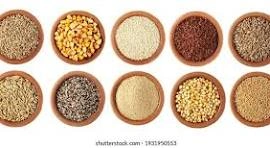 rice , corn , soyabean, more then 50 grains-2