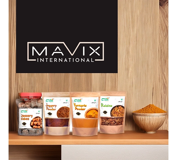 Excellence, Integrity, Sustainability: Mavix's Guiding Principles