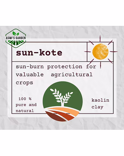 SUN-KOTE (KAOLIN CLAY)-5