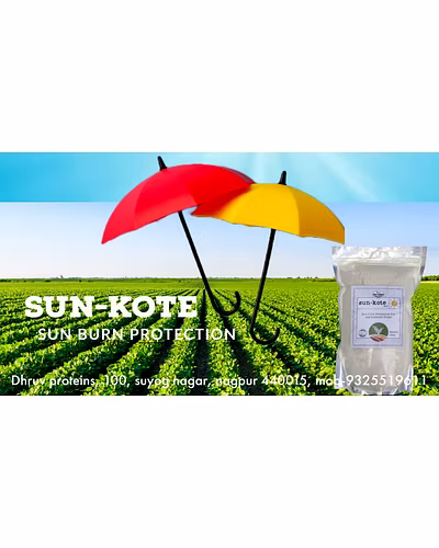 SUN-KOTE (KAOLIN CLAY)-6