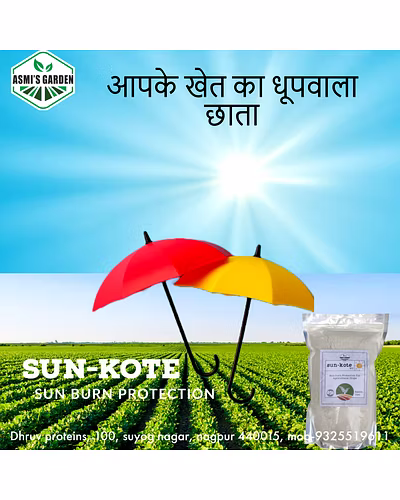 SUN-KOTE (KAOLIN CLAY)-2