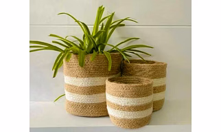 Jute planter