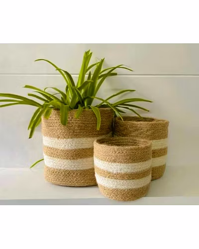 Jute planter-2