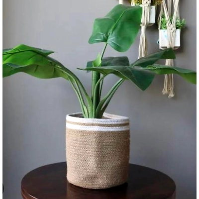 ASMIS GARDEN Jute planter