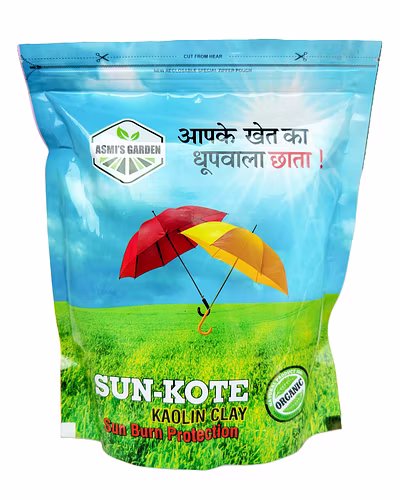 SUN-KOTE (KAOLIN CLAY)-3
